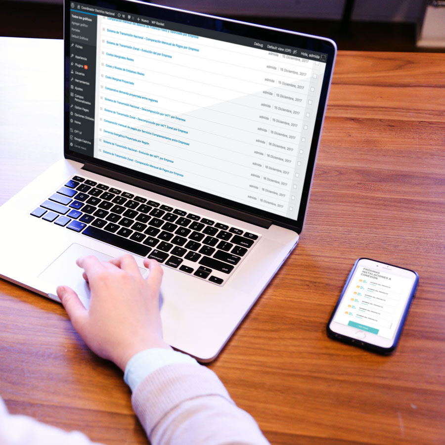 Proyecto Coordinador Eléctrico Nacional