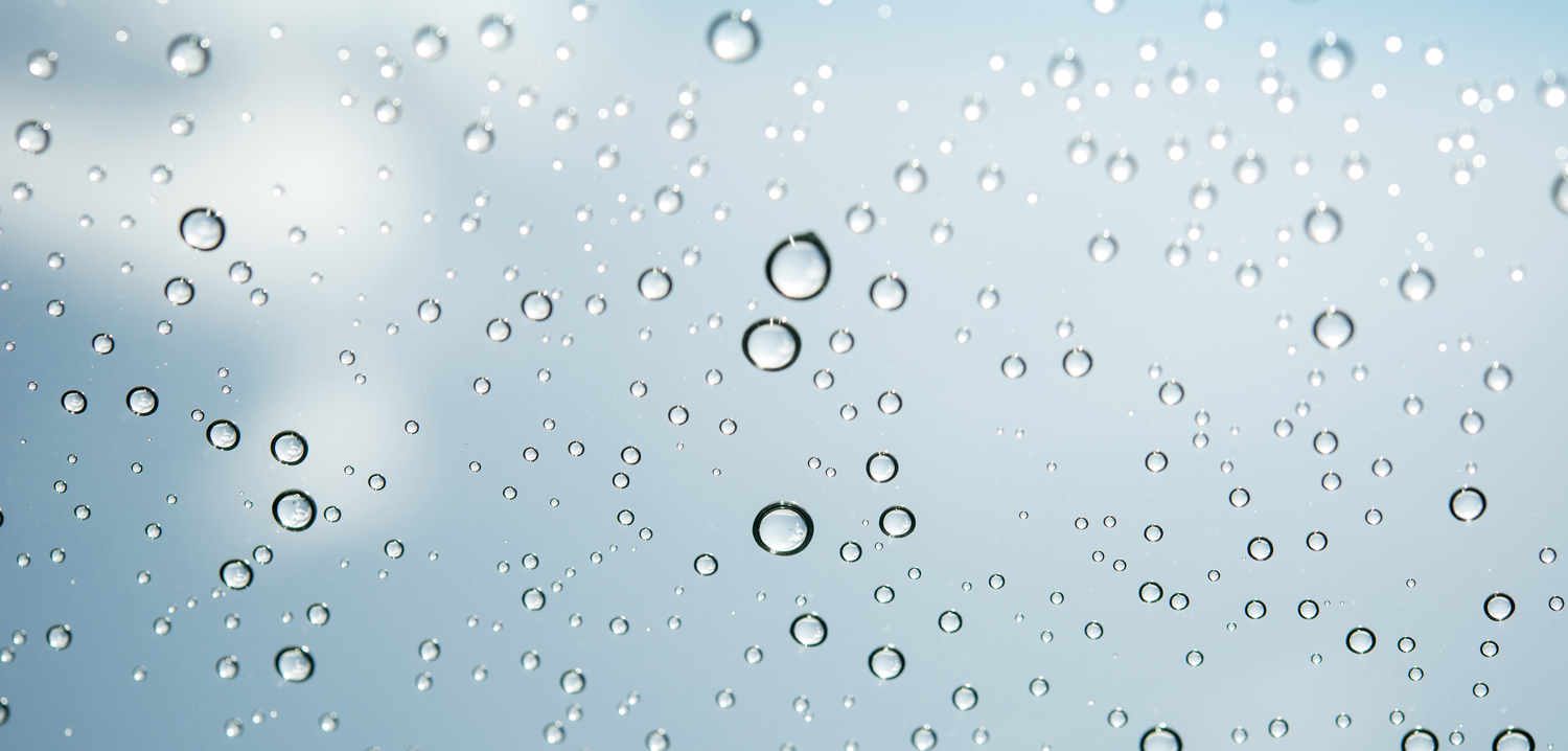 Imagen resaltada: Consistencia y coherencia