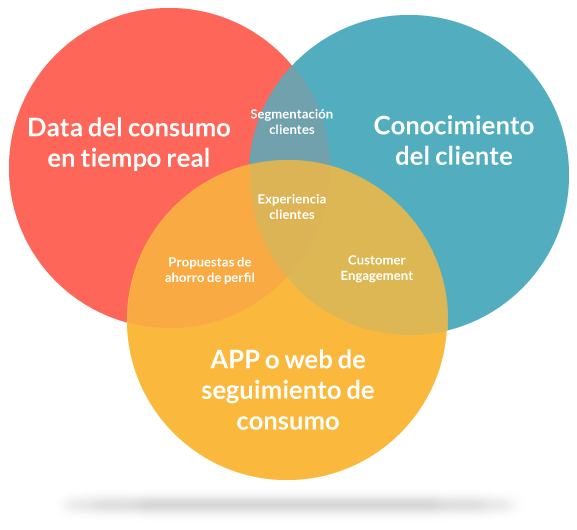 Servicio centrado en el usuario Cristal Chile