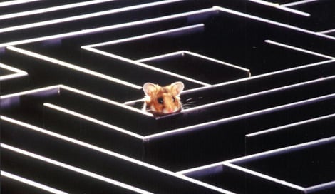 Imagen de Curvas de aprendizaje en diseño web, si tienes que enseñar a usarlo, no sirve