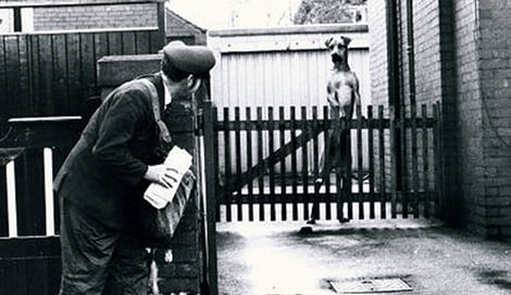 Imagen de ¿Cómo lograr que tus clientes lean tus newsletter?