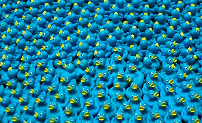 patos de hule azules