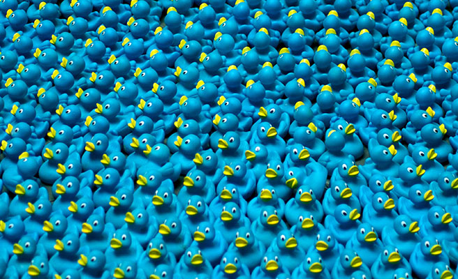 patos de hule azules