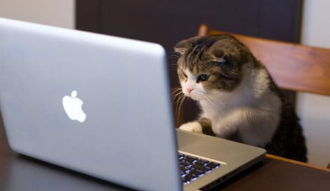 Imagen de 3 comandos para delegar eventos en JavaScript