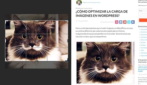 Imagen de ¿Cómo adapta WordPress las imágenes a su plantilla?