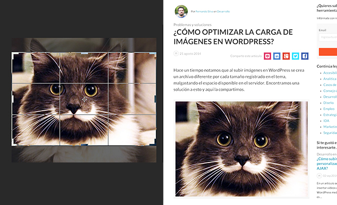 Corte realizado a una imagen cuadrada al ser insertada en un marco