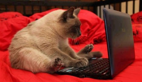 Imagen de ¿Cómo delegamos eventos en JavaScript de forma responsable?