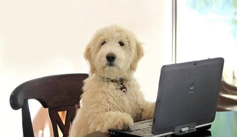 Imagen de Consejos sobre UX y desarrollo en WordPress