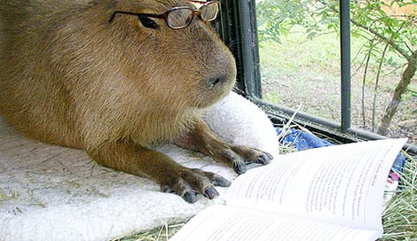 Imagen de Tutoriales sobre diseño web y marketing de contenidos