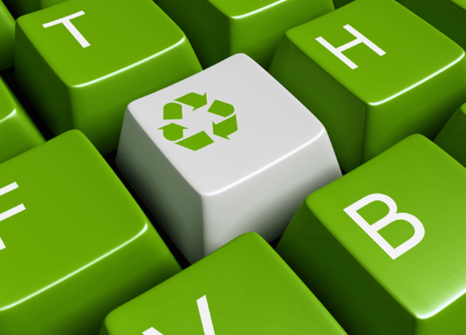 Árbol sin hojas gritándole a un pino