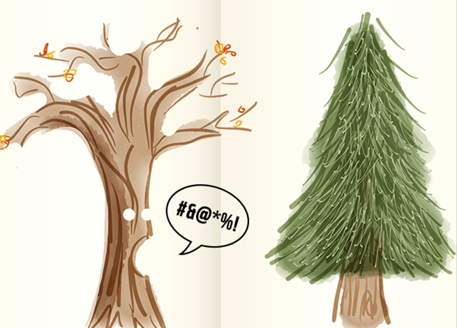 Árbol sin hojas gritándole a un pino