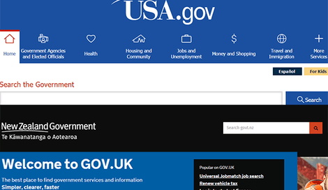 Imagen de Presentación de servicios en sitios de gobierno