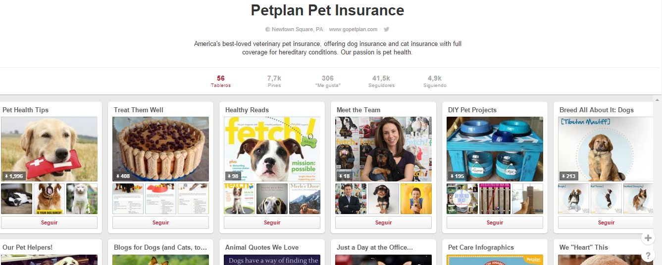 PinterestPetPlan