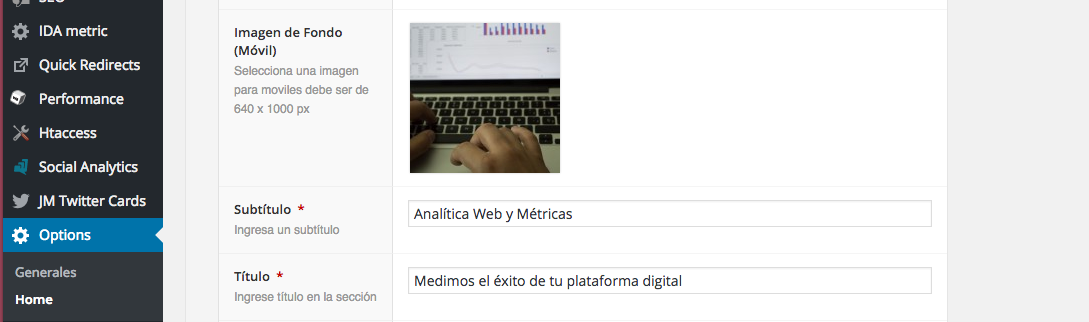 Funciones wordpress_opciones del sitio - ida