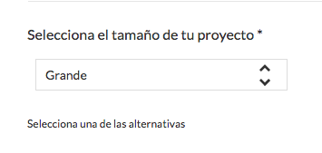 Captura de pantalla del seleccionador del tamaño del proyecto de IDA.