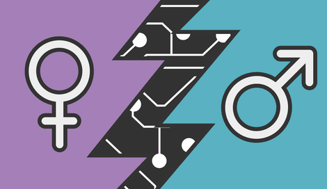 Imagen de Brecha de género en las TICs y la paradoja del primer mundo