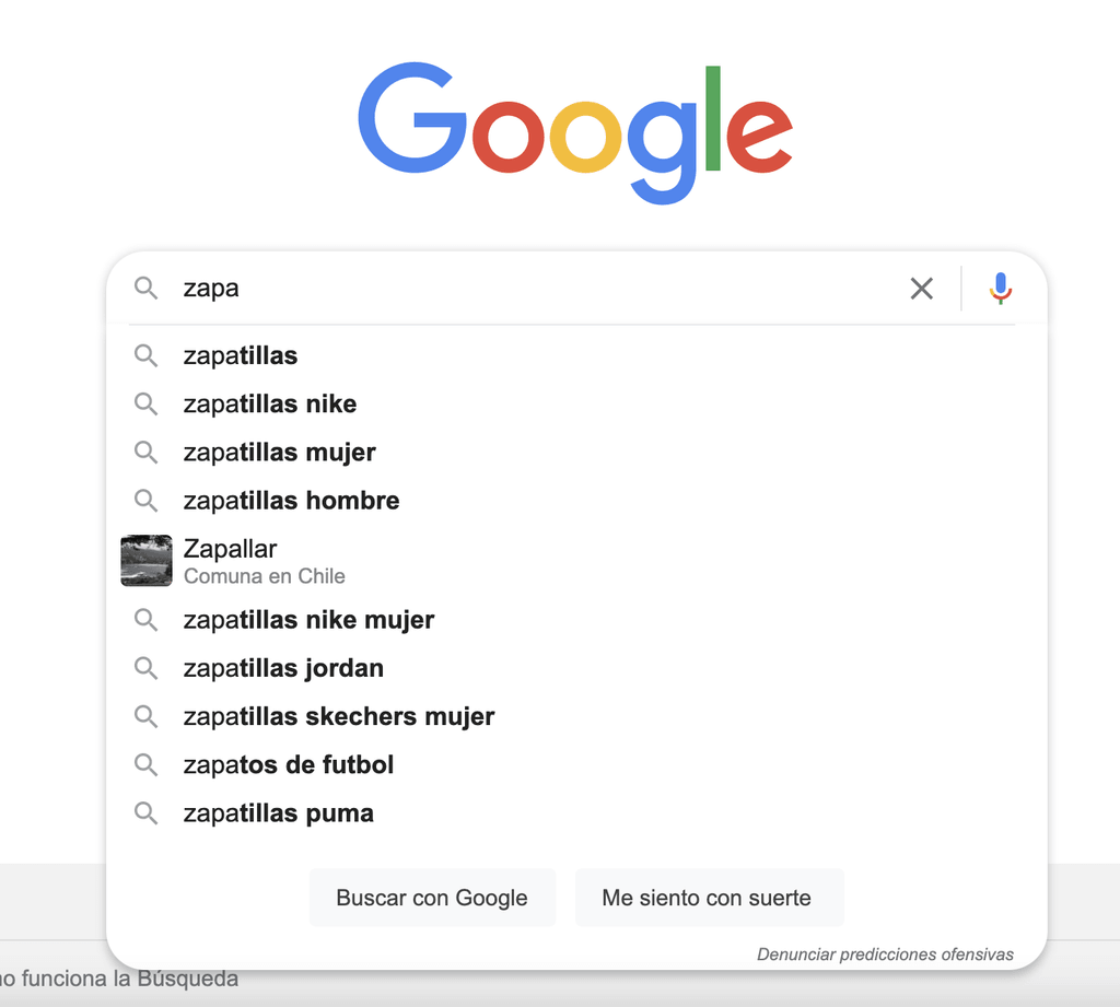 Buscador de Google.