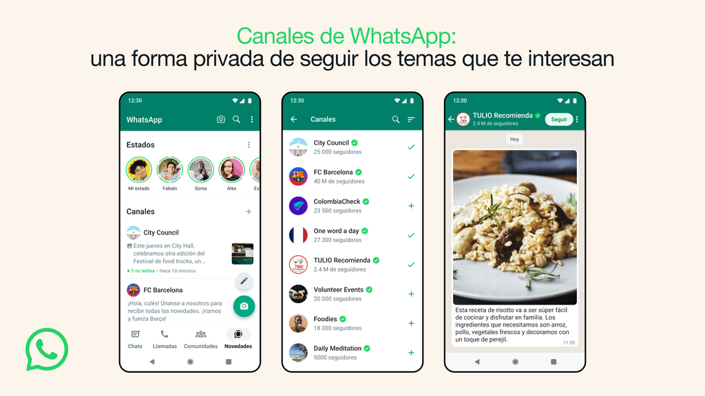 Visualización de los Canales de WhatsApp.